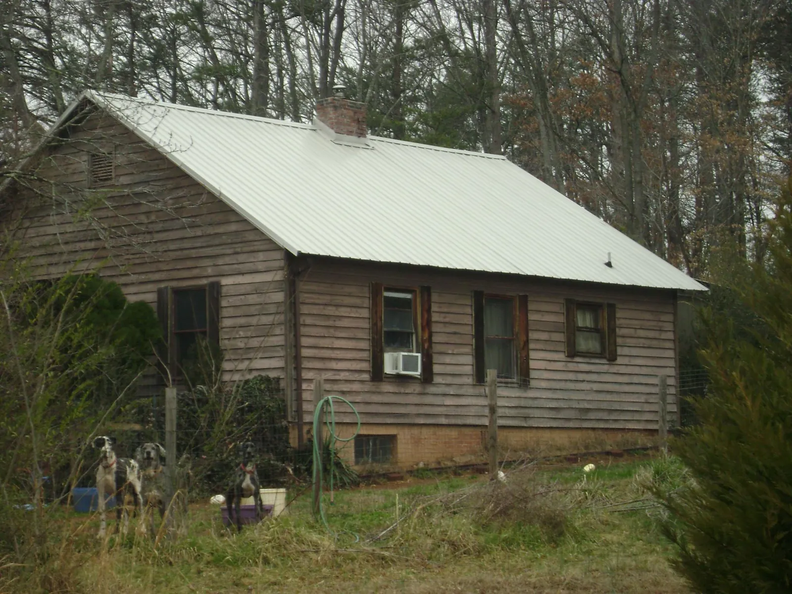 White metal roof on an old wood sided farmhouse, from a Asphalt Shingle Roof Repair job in Fairplay